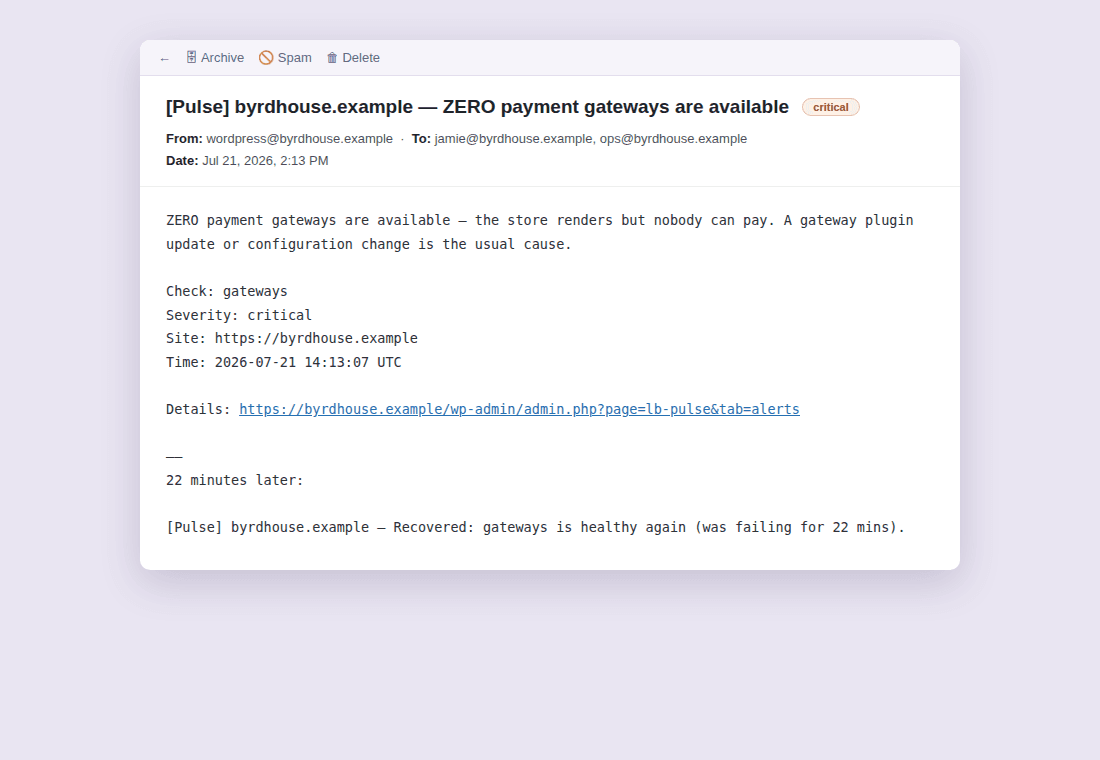 The email you actually get, What failed, since when, context, and a recovery notice when it heals.